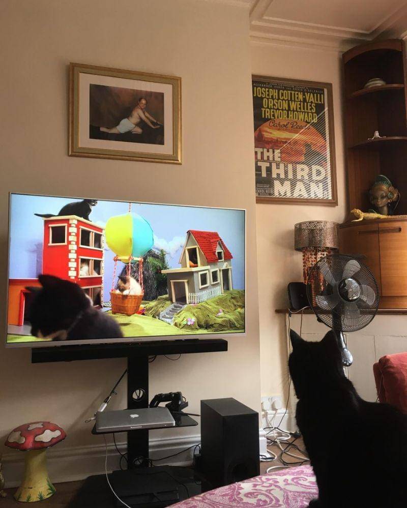 reddit.com/user/FrankieMC35